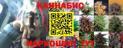 наркотики Новозыбков