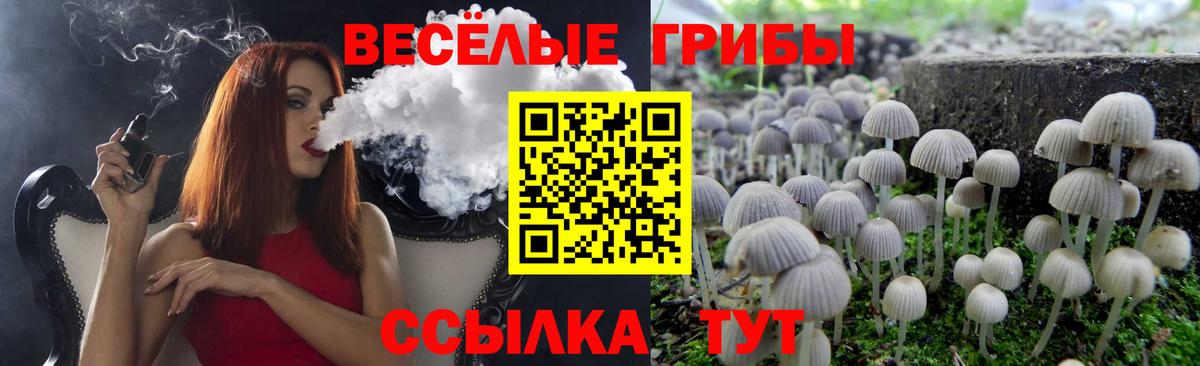 Псилоцибиновые грибы Psilocybe  где продают   Галлюциногенные грибы ЛСД  Сыктывкар  Вход с VPN 